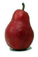 Red Bartlett Pear